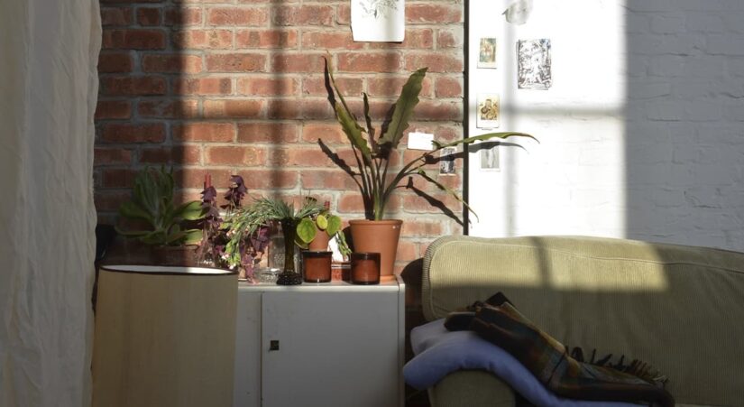 horticulture