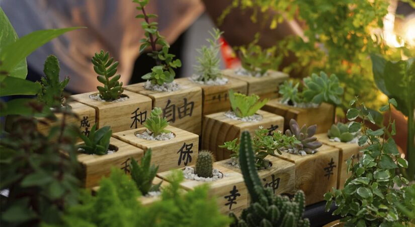 horticulture