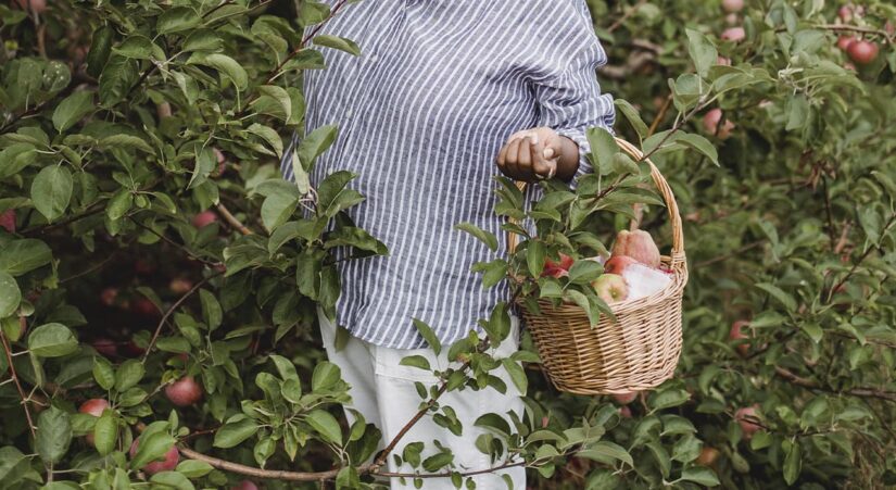 Protecting the garden from winter damage