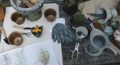 horticulture