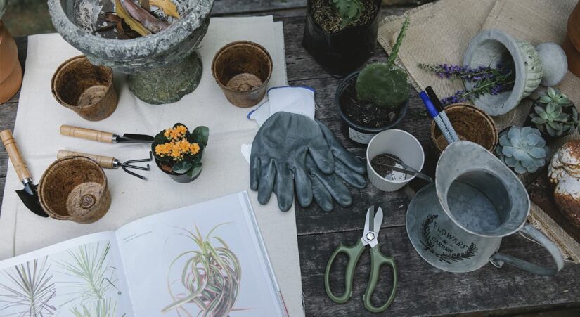 horticulture