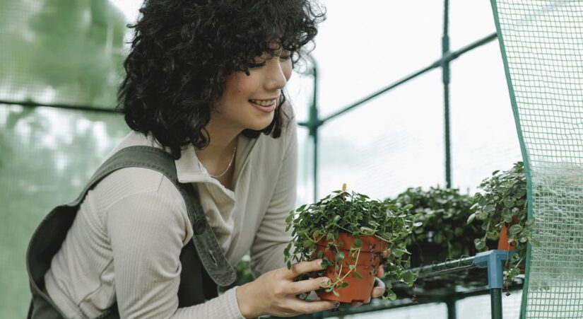 horticulture