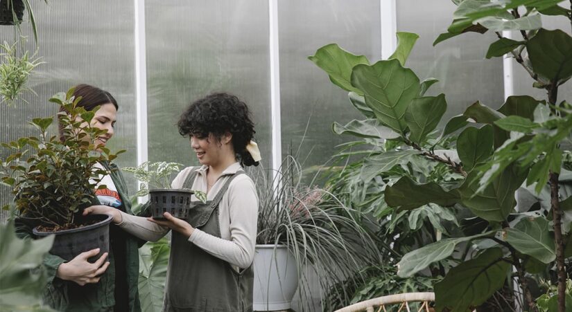 horticulture