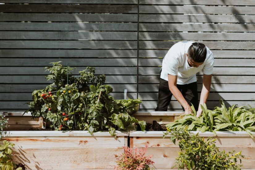 Guide to Gardening Tools: What Tools Do You Need for Your Home Garden?