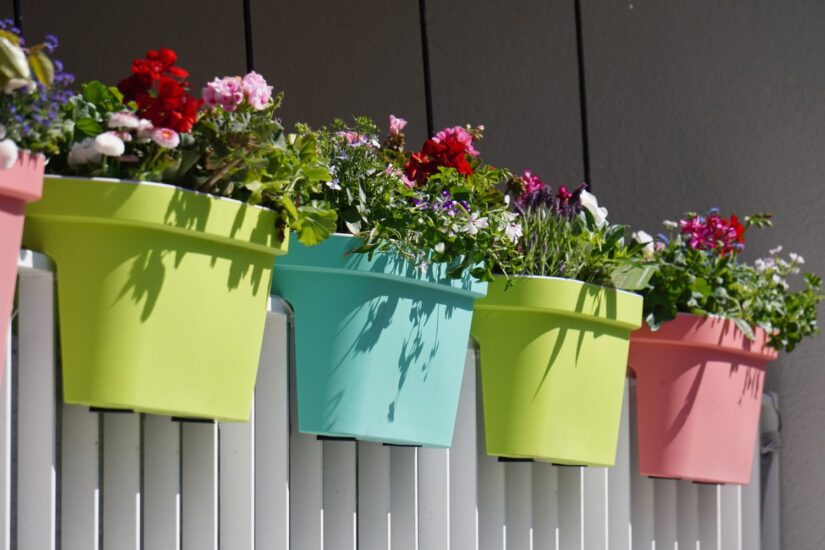 Blossom in Tight Quarters: The Art of Container Gardening