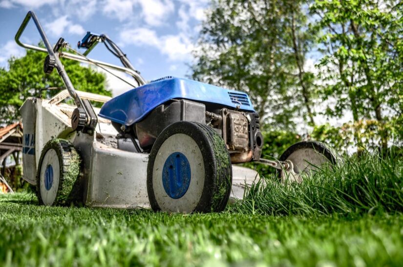 A Complete Guide on Organizing Garden Tools